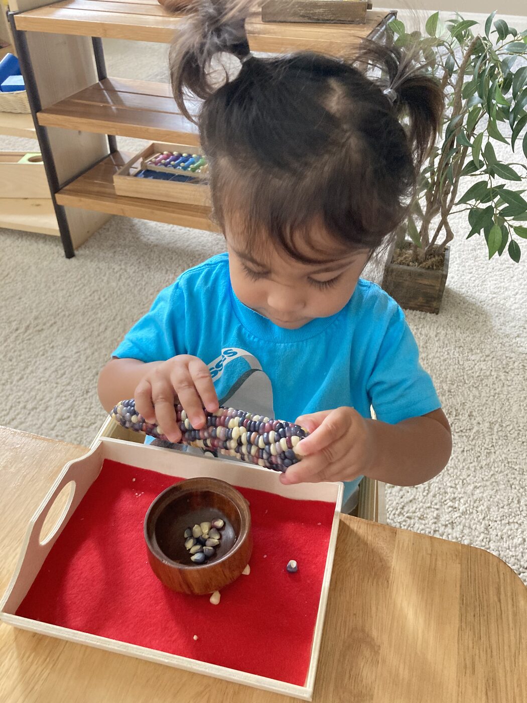 Child at Mirtha's Toddler Spanish Immersion