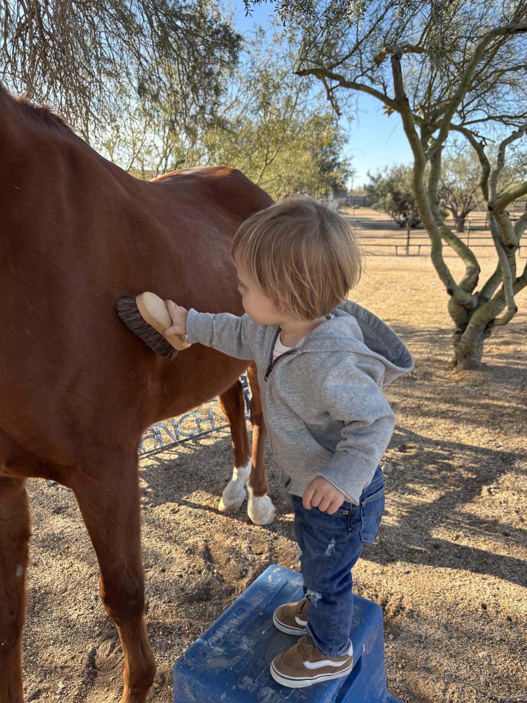 Child at Mirtha's Toddler Spanish Immersion